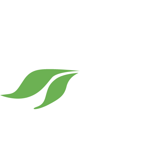 betelfruit logo