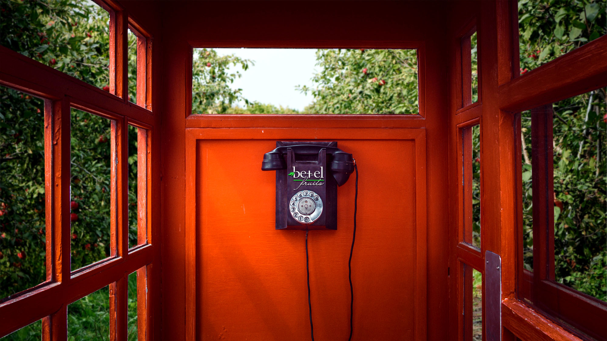 Contact us foonhokkie