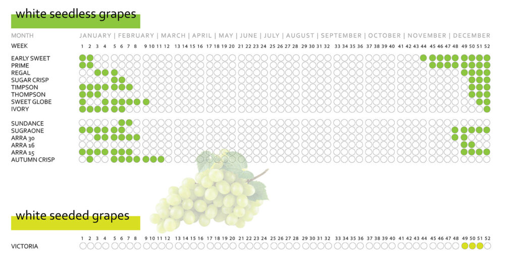 white grape calendar