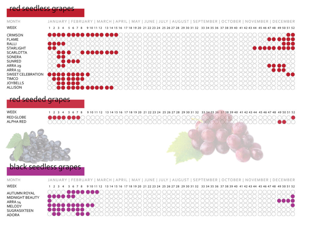 red grape calendar